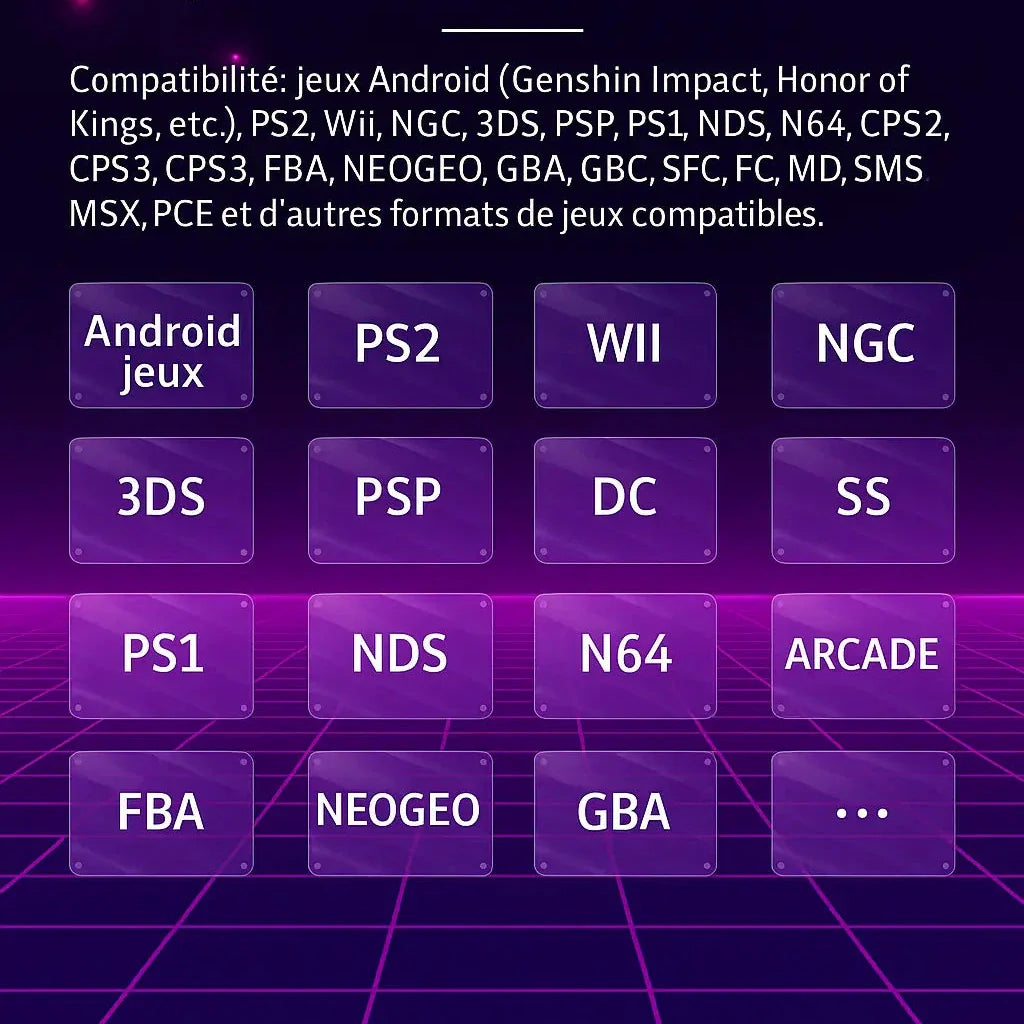 Console Portable Anbernic RG556