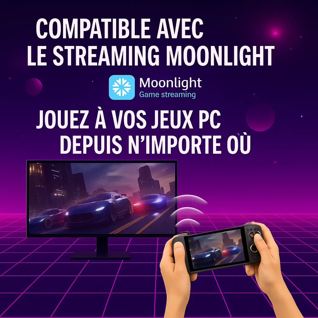 Console Portable Anbernic RG556