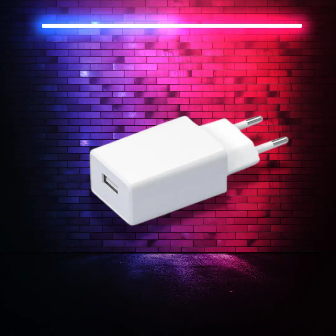 Adaptateur Secteur RGD10 Pro