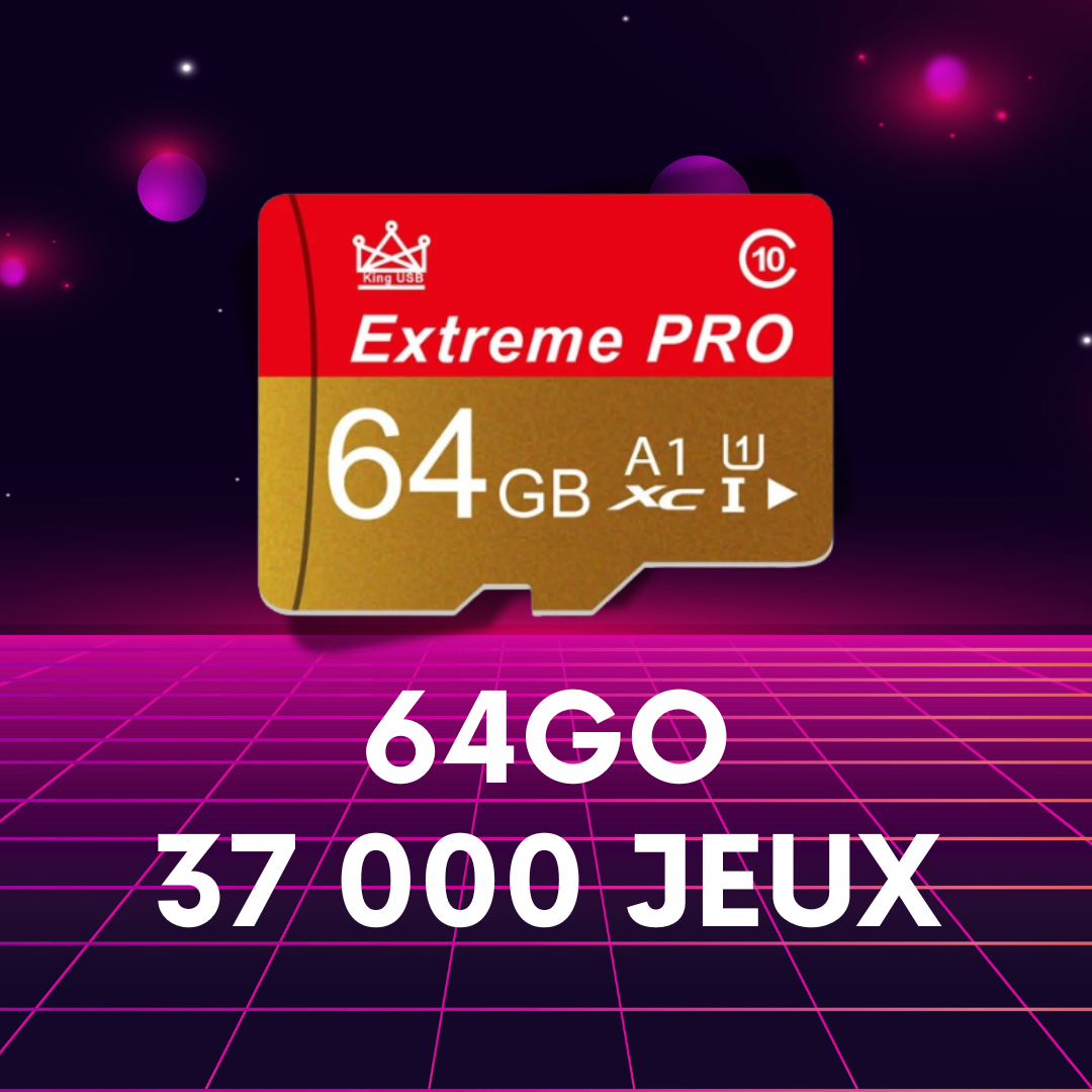 Carte 64Go pour Console RGD10 Pro